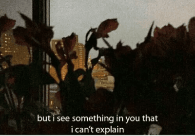 @shycrushmusic on tumblr.