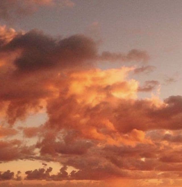 @shycrushmusic on tumblr.