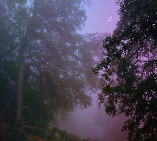 @maxsupera on tumblr.