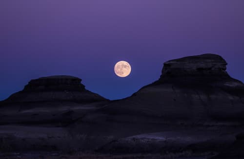 @maxsupera on tumblr.