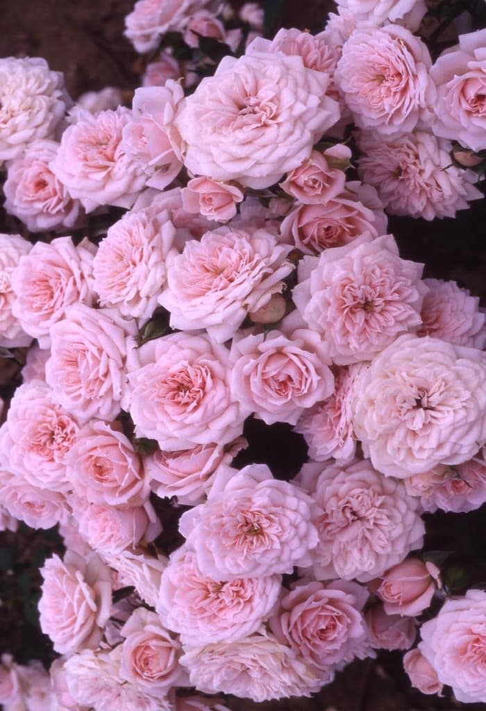 @maxsupera on tumblr.